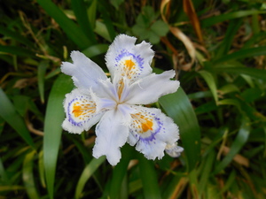 DSCN0286.JPG