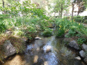 DSCN0287.JPG
