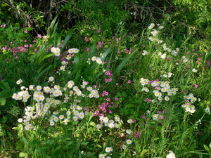 DSCN0290.JPG