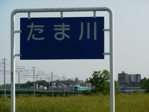 DSCN0292.JPG