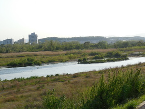 DSCN0294.JPG