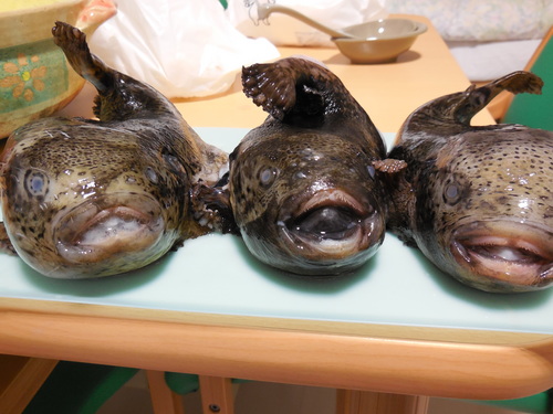 DSCN2128.JPG