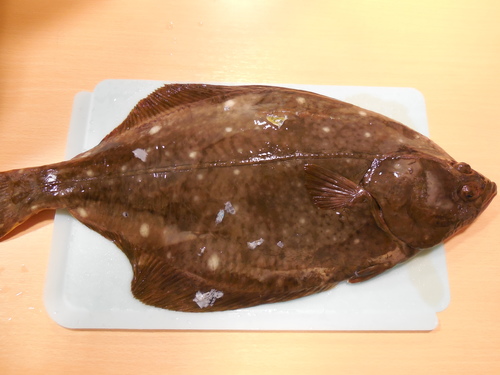 DSCN2133.JPG