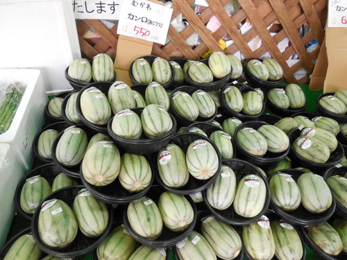 DSCN2646.JPG