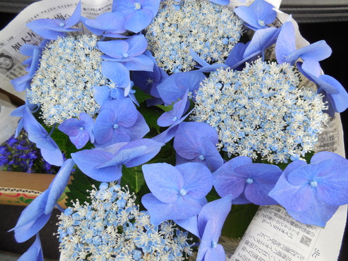 DSCN2648.JPG