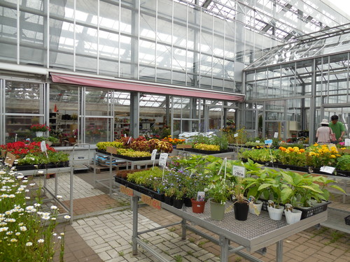 DSCN2651.JPG