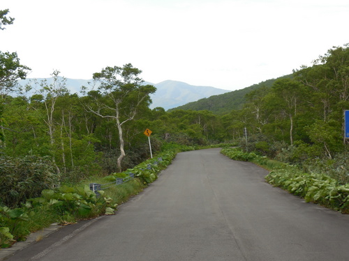DSCN2690.JPG