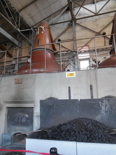 DSCN3074.jpg