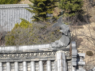 IMGP0660.JPG